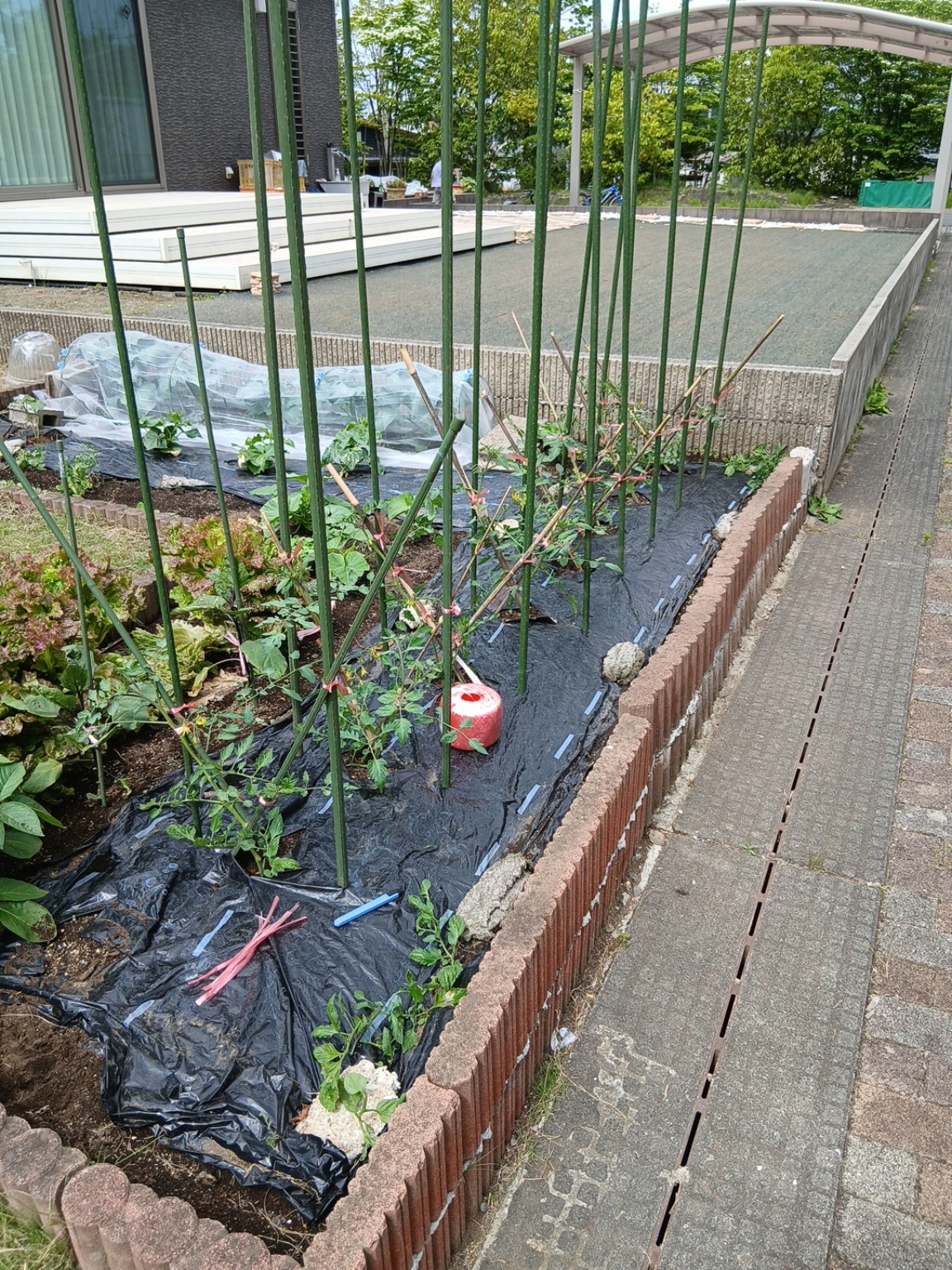 Our real home vegetable garden in Tochigi Prefecture, Japan.